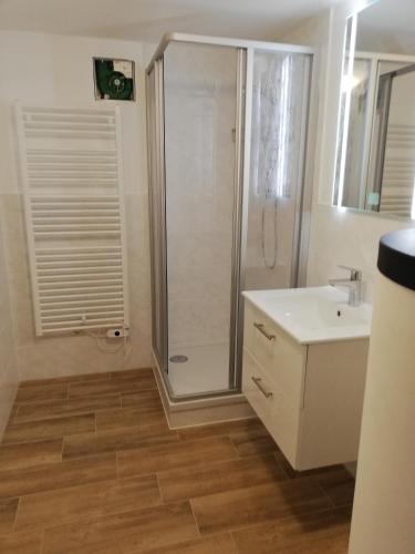 a bathroom with a shower and a sink at Apartment Haider 2 in Obertraun