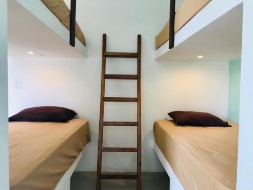 two beds in a room with a ladder at Paziflora Hostel -STARLINK- in Puerto Escondido