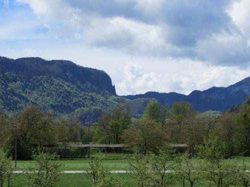a view of a valley with mountains in the background at Garden Paradise Bled Apartments - garden, pond and castle view in Bled