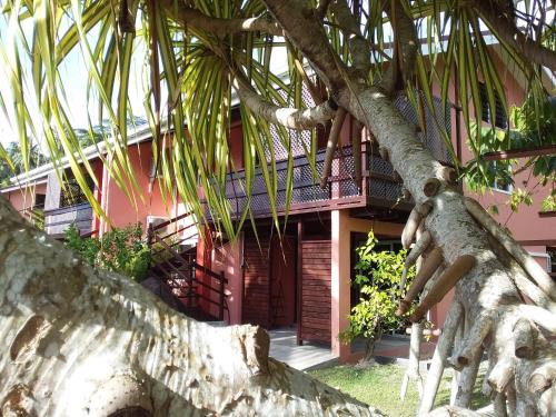 a house with a palm tree in front of it at BORA BORA HOLIDAY'S LODGE in Bora Bora