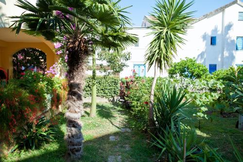 Fotografie z fotogalerie ubytování Apartments Angela v destinaci Budva