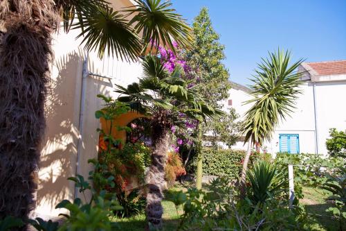 Fotografie z fotogalerie ubytování Apartments Angela v destinaci Budva