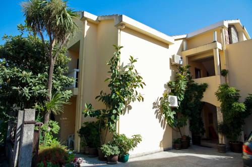 Fotografie z fotogalerie ubytování Apartments Angela v destinaci Budva