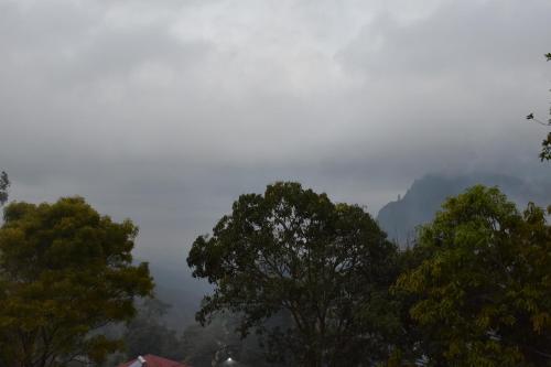 a group of trees with a mountain in the background at Baagie Homestay in Ella
