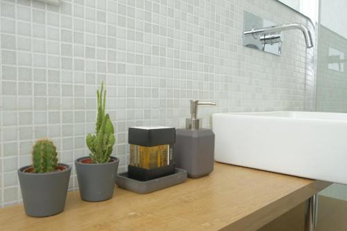 ein Badezimmer mit einem Waschbecken und Kaktuen auf einer Theke in der Unterkunft Pangea Suite - Vaticano in Rom