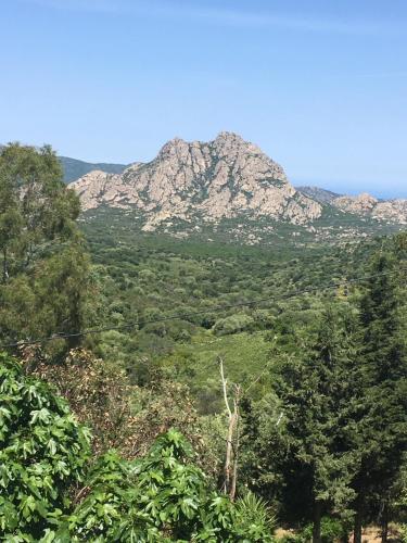 Gallery image of Relais de Saleccia in Casta