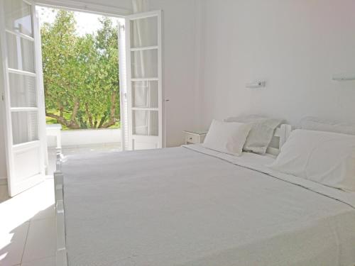 Gallery image of Klironomos Apartments Logaras in Logaras