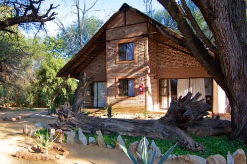 a house with a large tree trunk in front of it at Kashana Namibia in Omaruru