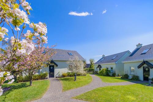 Un jardín fuera de Dingle Centre Townhouse An Capall Dubh Dingle