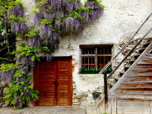 a building with a wooden door and wisteria on it at Fixlhof in Rifiano