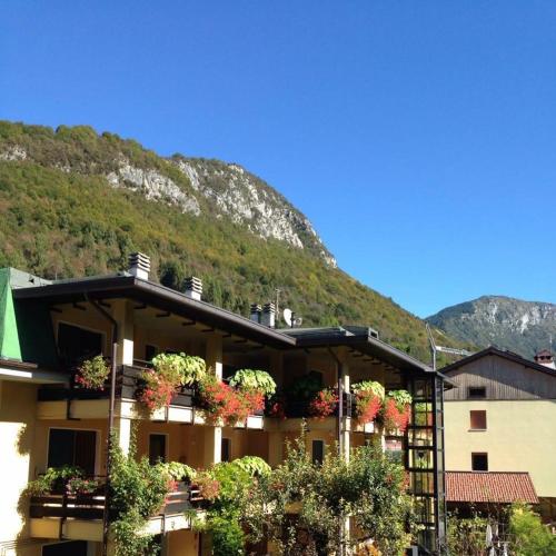 a building with potted plants and a mountain in the background at Residenza La Ciasa in Claut