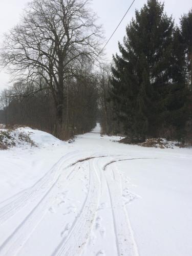 a snow covered road with tracks in the snow at Villa van Brienen in Dilsen-Stokkem
