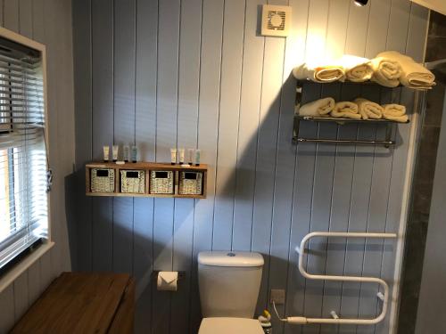 a bathroom with a toilet and towels on the wall at Cherry Tree Glamping in Stroud