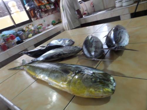 three fish on a table in a kitchen at Sailfishbay Surf And Big Game Fishing Lodge in San Isidro