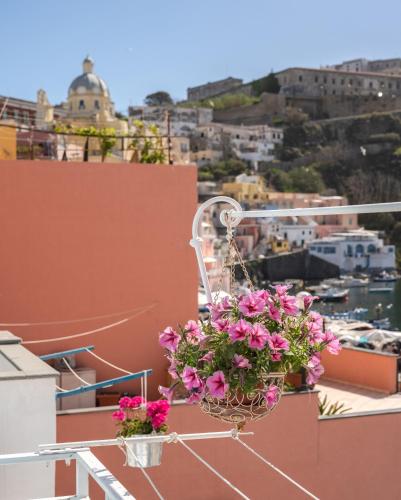 a basket filled with pink flowers on a balcony at Casa Athina in Procida