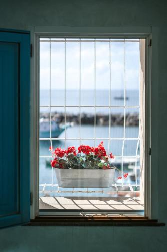 a window with a pot of flowers on a window sill at Casa Athina in Procida