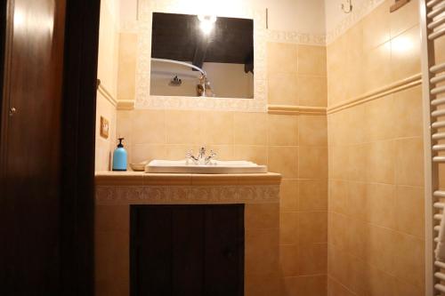 a bathroom with a sink and a mirror at Casal d'Upupa in San Cesareo