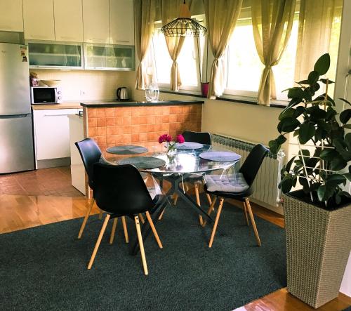 a kitchen with a table and chairs in a kitchen at Tisa - SELF CHECK-IN in Plitvička Jezera