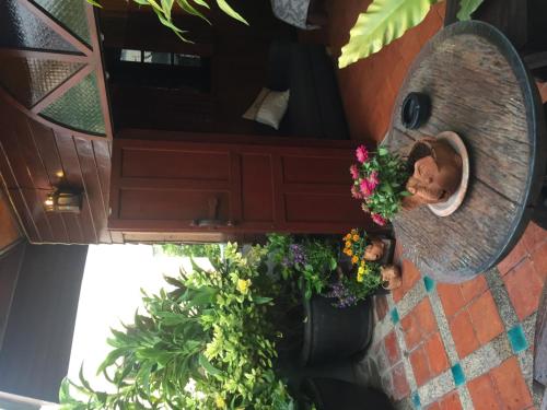 Taman di luar Shanti Lodge