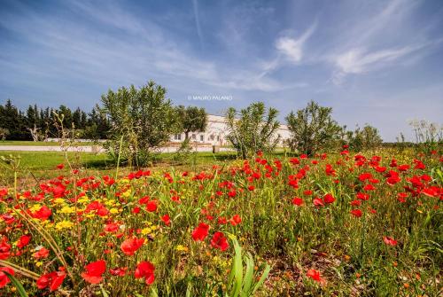 Gallery image of Tenuta Kyrios Agriresort Restaurant & Pool in Borgagne