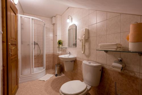 a bathroom with a toilet and a shower and a sink at Penzion U Hrádku in Kutná Hora