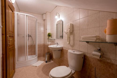 uma casa de banho com um WC, um chuveiro e um lavatório. em Penzion U Hrádku em Kutná Hora