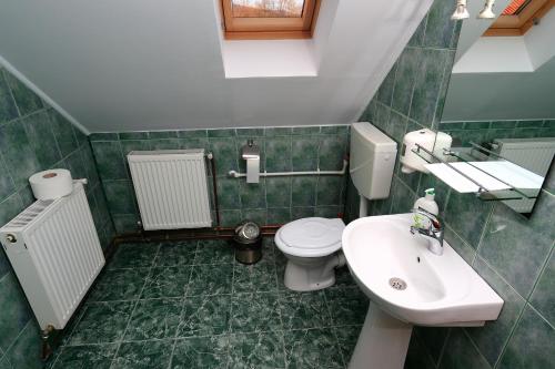 a green tiled bathroom with a toilet and a sink at Szarvas Vendeghaz in Izvoru Mureşului