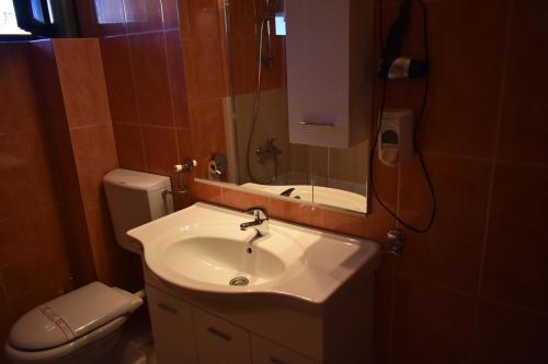 een badkamer met een wastafel, een toilet en een spiegel bij Vidikovac-Berane in Berane