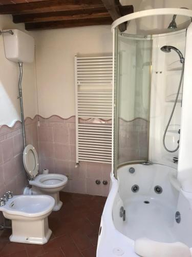 a bathroom with a toilet and a tub and a sink at Casa Colle Petroso in Radda in Chianti