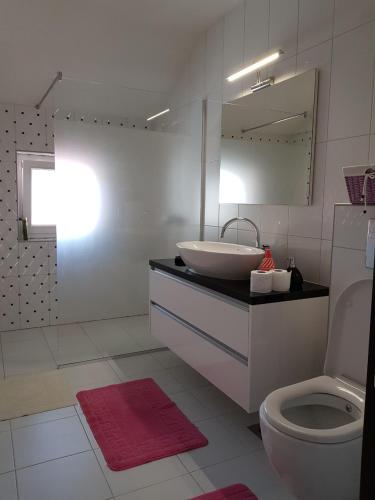 a bathroom with a sink and a toilet and a mirror at Visoko Homestay in Visoko