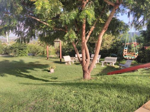 a playground with a tree and a swing at Casa Schneider in Gravatá