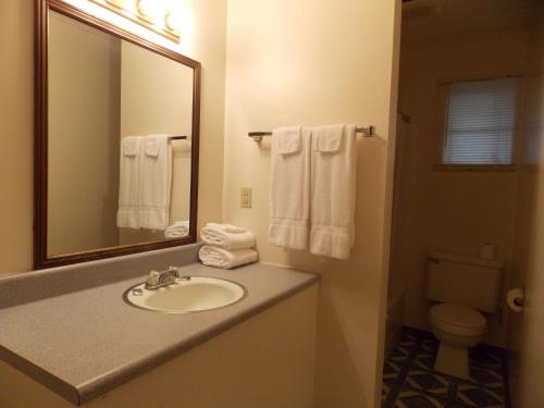 a bathroom with a sink and a mirror and a toilet at Clarketon Motel - Maggie Valley in Maggie Valley