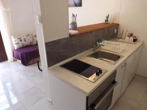 a kitchen with a sink and a counter top at Villa Mali Raj in Zaton