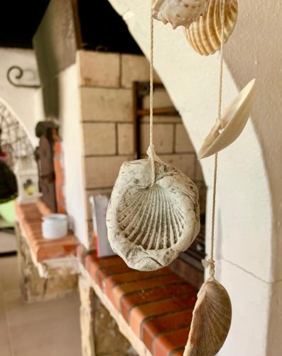 Gambar di galeri bagi Horta da Fonte di Alburitel