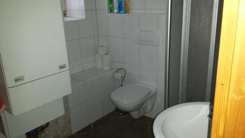 a small bathroom with a toilet and a sink at Turmhaus am Perschlhof in Murau