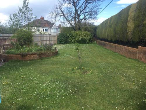 a yard with a fence and a brick wall at 1 Ashford Road Guesthouse in Redhill