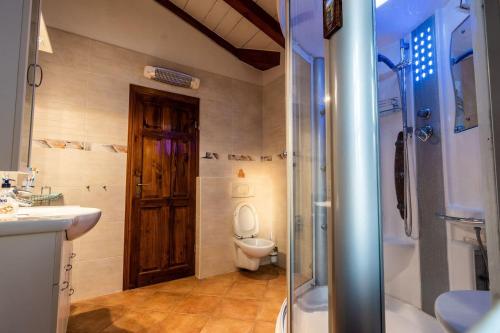 een badkamer met een toilet, een wastafel en een douche bij House Lunja in Vižinada