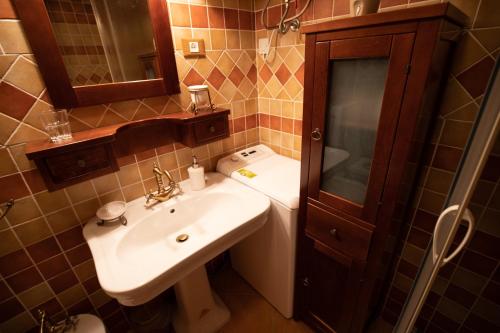 a bathroom with a sink and a toilet at Apartment Gaia in Lokve