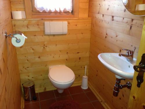 a bathroom with a toilet and a sink at Ferienwohnung Scheffau in Scheffau am Wilden Kaiser