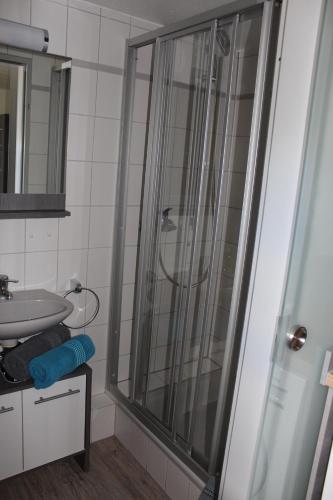 ein Bad mit einer Dusche und einem Waschbecken in der Unterkunft Ferienwohnung NeLe in Kappel-Grafenhausen