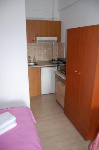 Kuchyň nebo kuchyňský kout v ubytování Guesthouse Zografia