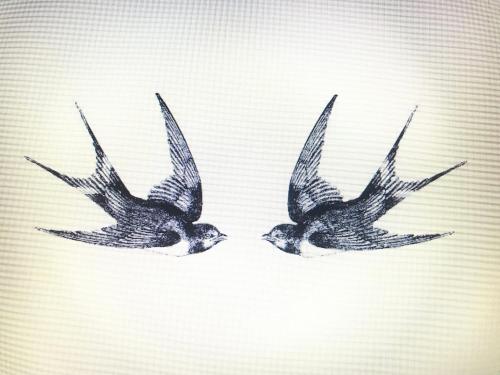 two birds are flying next to each other at Aux deux hirondelles in Houssen