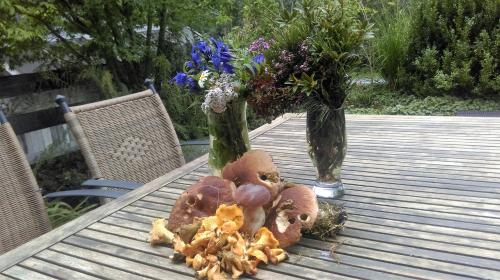 a table with a stuffed animal and a vase with flowers at Holzfällerhaus Melkstatt in Auffach