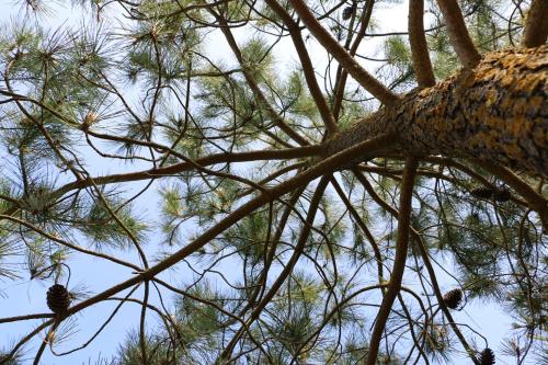 Photo de la galerie de l'établissement Maison douillette à 700m des plages, à Saint-Brévin-les-Pins