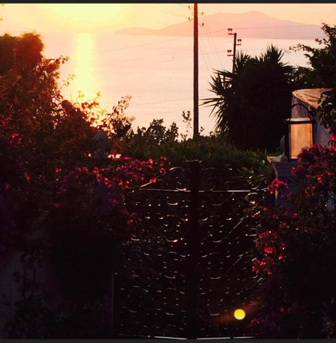 a sunset over a garden with flowers and a fence at CASA SOFIA in Anacapri