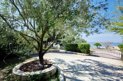 Gallery image of Apartments Beach in Vrsi