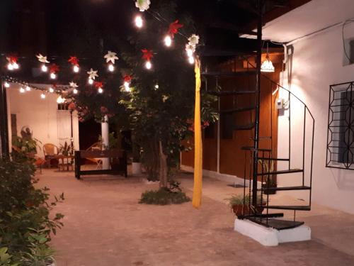 a patio at night with a tree and lights at Casa Lao Centro in Zihuatanejo