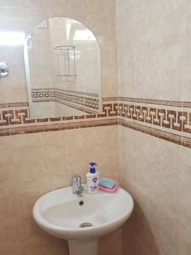 a bathroom with a sink and a mirror at Guesthouse Luka in Martvili