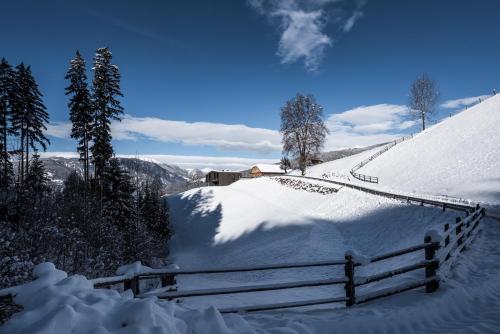 naturApart – Photos 5
