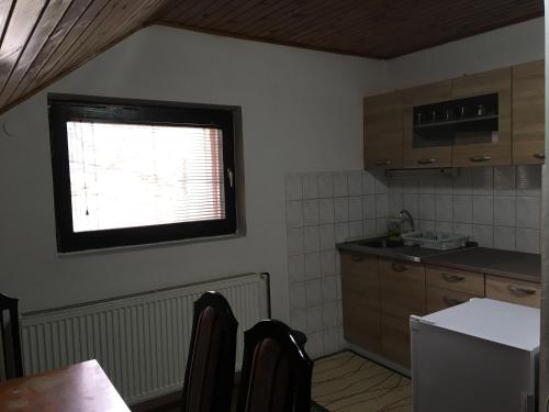 Кухня или мини-кухня в Apartment Gajevi
